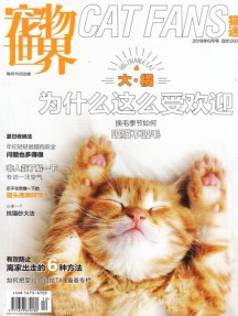 宠物世界